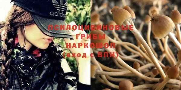 соль курить ск Покровск