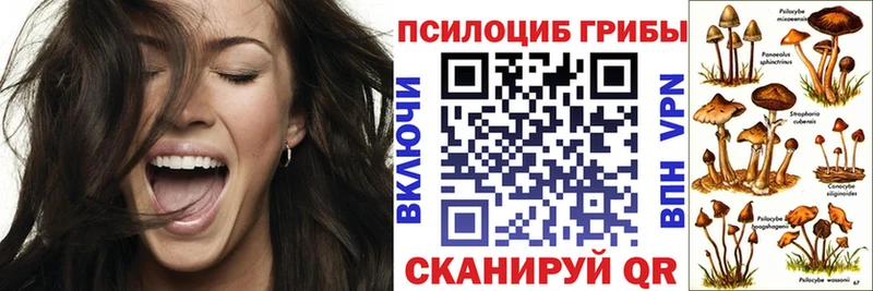 Галлюциногенные грибы MAGIC MUSHROOMS  мега рабочий сайт  Бугульма 